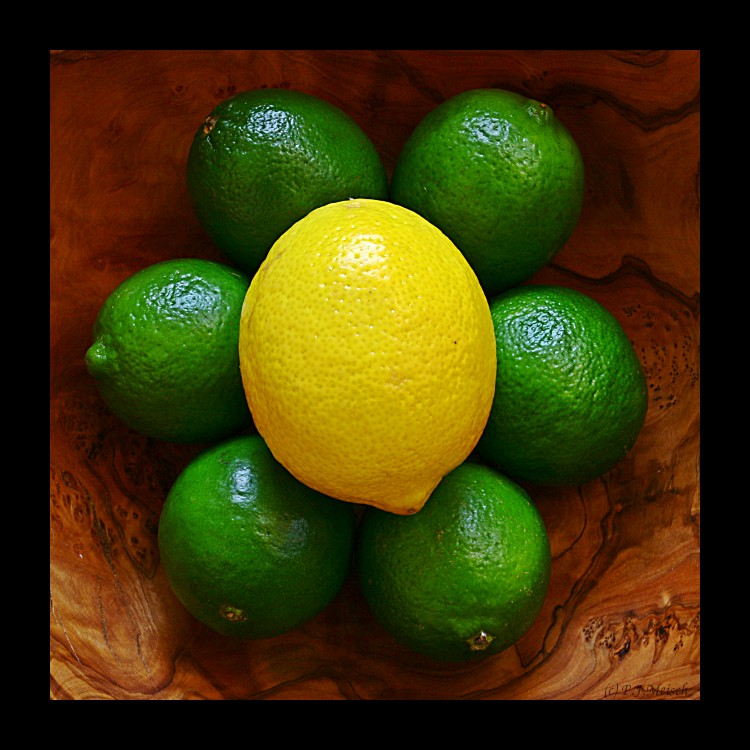 Citrusblume
