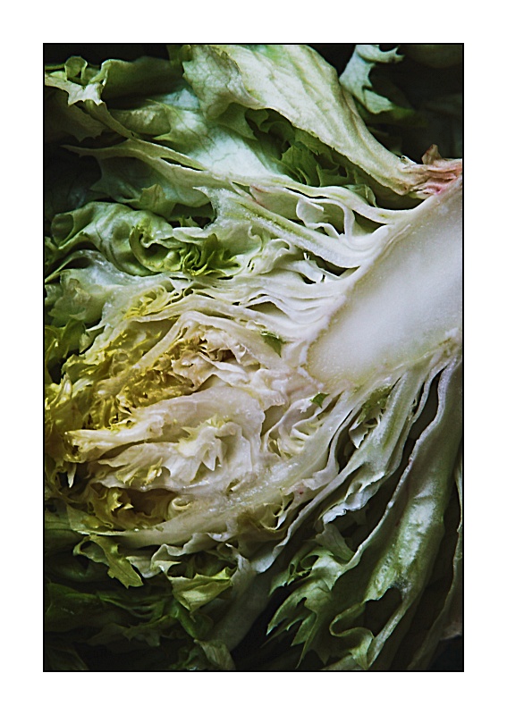 Salat